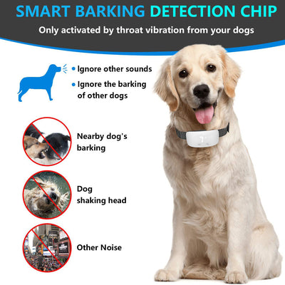 Pet Products for Preventing Dogs From Barking