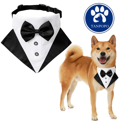 Wedding triangle scarf pet