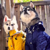 Raincoat dog pet submachine jacket