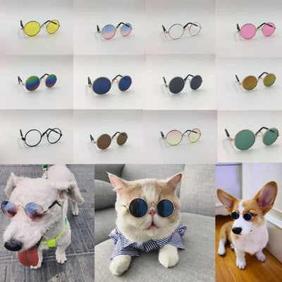 Pet glasses