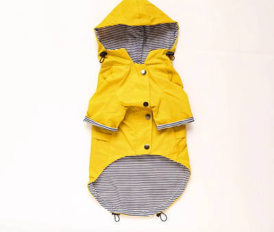 Raincoat dog pet submachine jacket