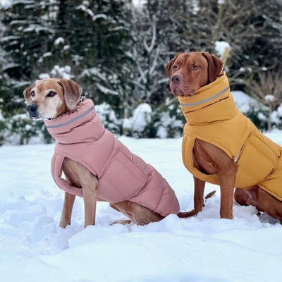 Dog clothing thickened warm