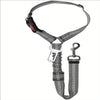 Pet car seat belt