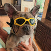 Chihuahua Doggles Dog Sunglasses