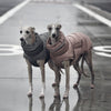 Dog clothing thickened warm