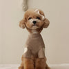 Pet Love Embroidery Warm Clothes