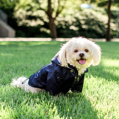 Raincoat dog pet submachine jacket