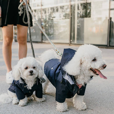 Raincoat dog pet submachine jacket