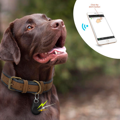 Pet Smart GPS Tracker