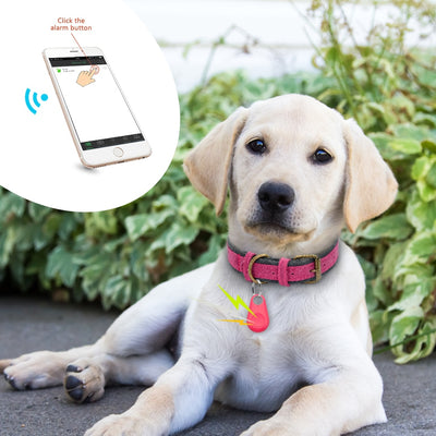 Pet Smart GPS Tracker Mini Anti-Lost Waterproof Bluetooth Locator Tracer For Pet Dog Cat Kids Car Wallet Key Collar Accessories