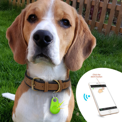 Pet Smart GPS Tracker